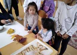 Rodinné aktivity 2.jpg- aktivity pro rodiče s dětmi