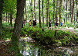 Výlet do Karlova údolí.jpg