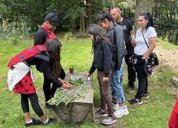 Pohakový svět 2.jpg