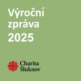 Výroční zpráva 2025